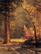 Albert Bierstadt Dogwood by Albert Bierstadt oil painting picture wholesale